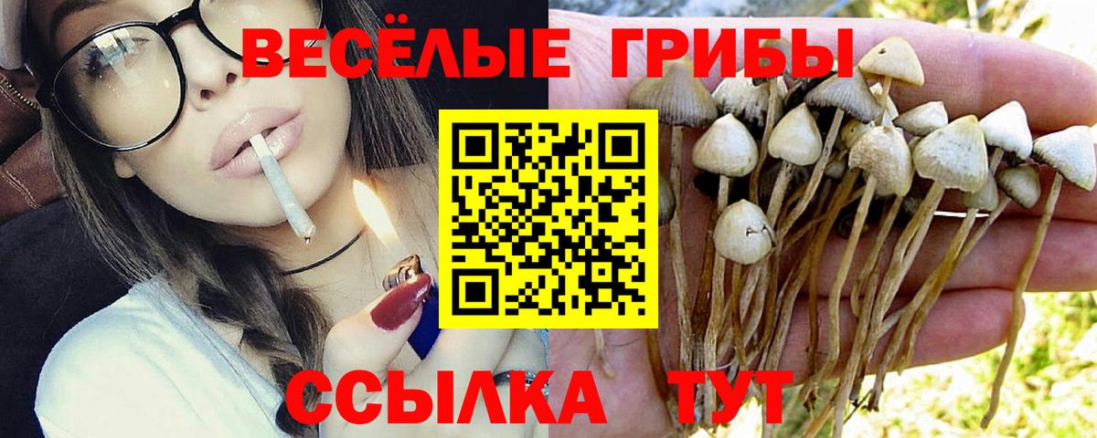 Псилоцибиновые грибы Psilocybe  Кыштым 